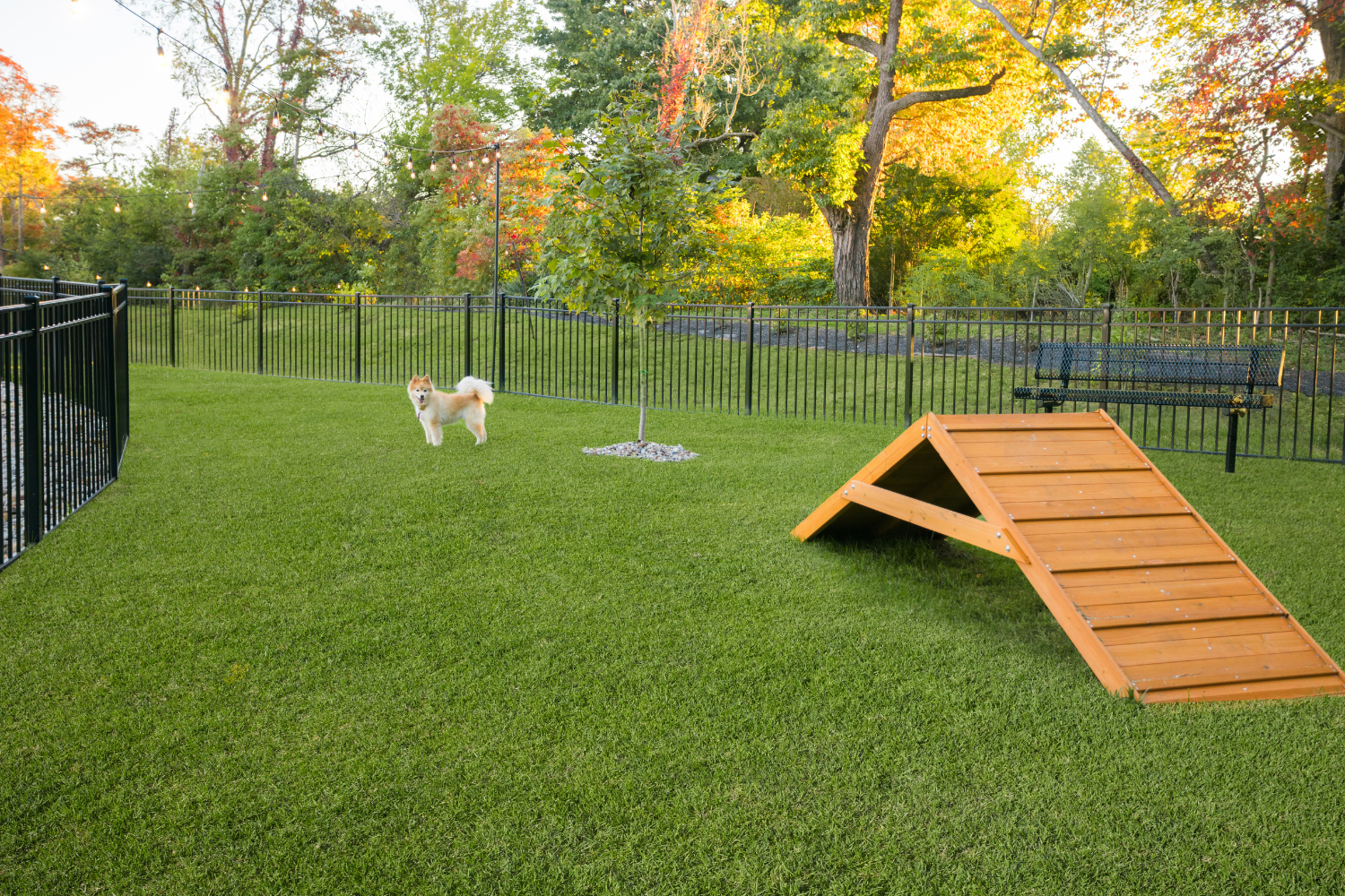 Wooden bench in the park area